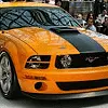 Mustang