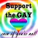 Support Gay Marriages