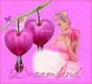 Dreamland