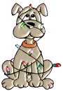 Christmas Dog