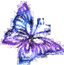 buterfly