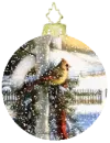 Christmas Ornament