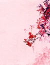 chinese flower