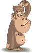 monkey