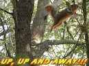 Up, Up and away!!