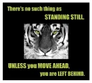 Move Ahead