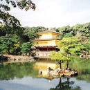 the golden temple