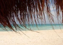 caribbean beach