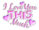 i love you this much
