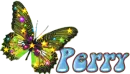 perry star butterfly groovy