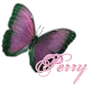 perry purple butterfly porcelain