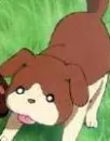 guri