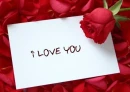 i love you tons