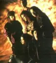 temple of the dog