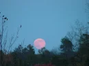 mooooooooooooon