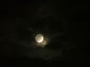 the moooooooooooooon