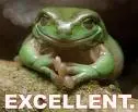 Deaf frog 