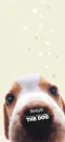 THE DOG