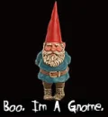 Boo. I'm a Gnome.