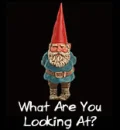 What Are You Looking At? Gnome.