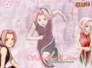 Sakura Haruno
