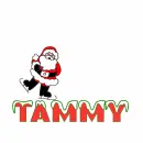 santa skating on Tammy 