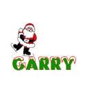 santa skating on Garry