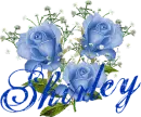 Shirley