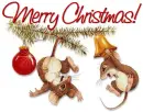 Christmas Greetings 