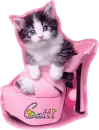 Catti