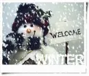 wecome winter