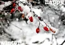 happy winter