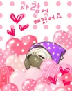 cute puppy