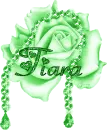 Tiara