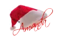 Amanda Santa Hat