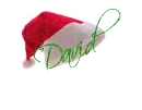 David Santa Hat