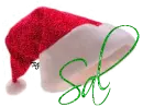 Sal santa hat