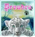 Deondra baby tiger