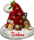 Trishna