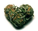 Weed