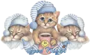 goodnightkitty~PD