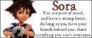 sora