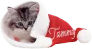 tammykittensanta~PD