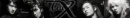 The Trax