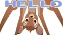 hello bambi