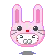 cute animal