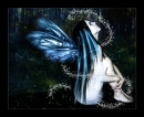 Fairy