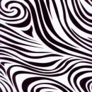 CRAZY ZEBRA