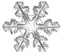 CRYSTAL SNOW