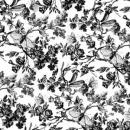 INSECTS